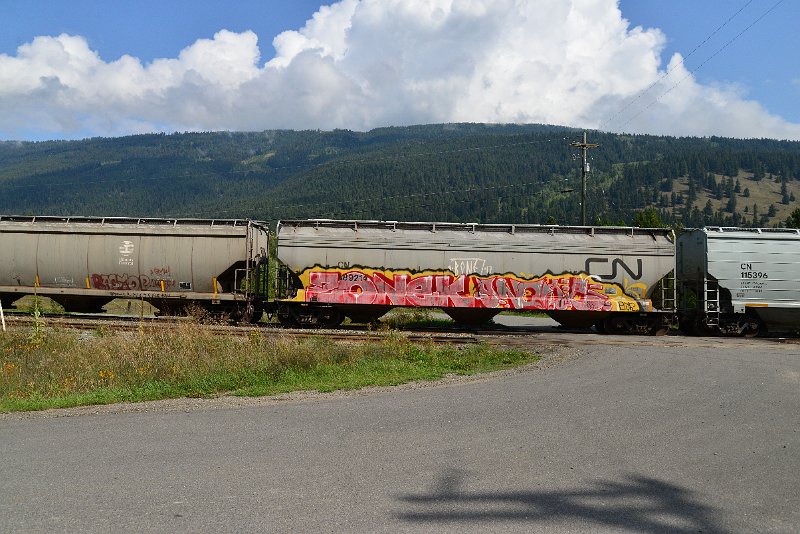 DSC_9896.JPG