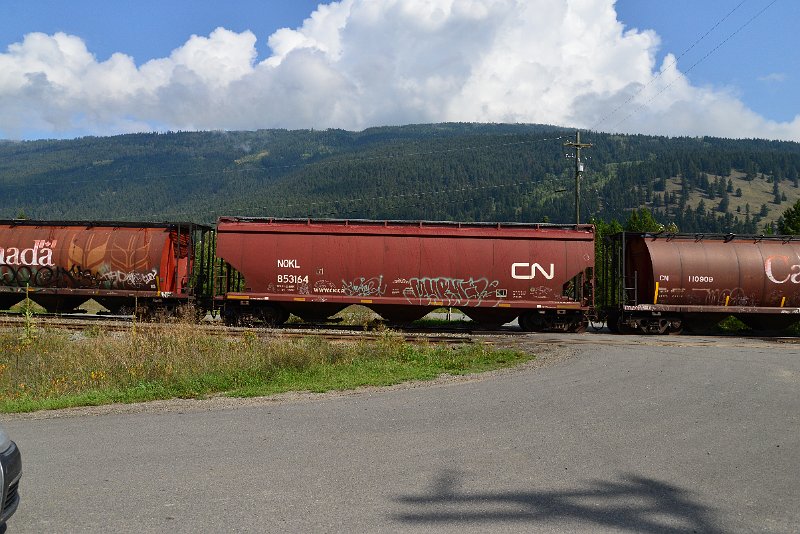 DSC_9909.JPG