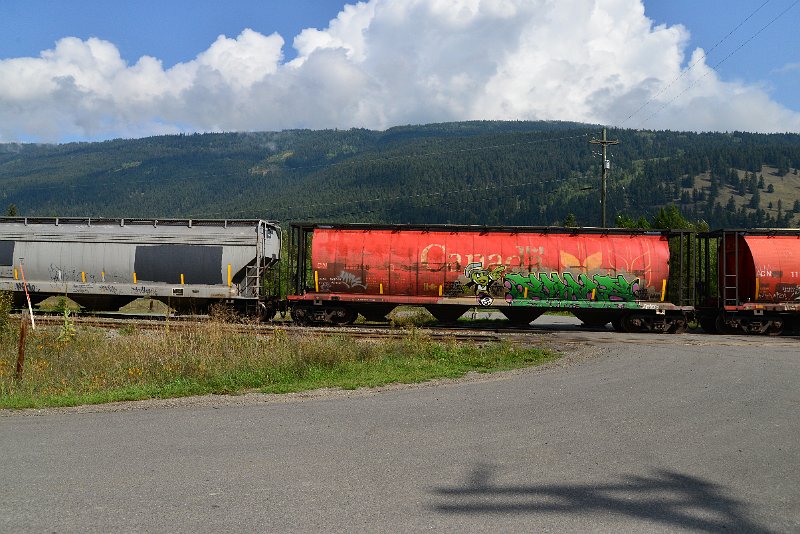 DSC_9916.JPG