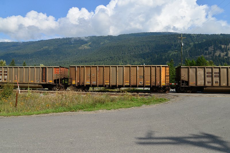 DSC_9981.JPG