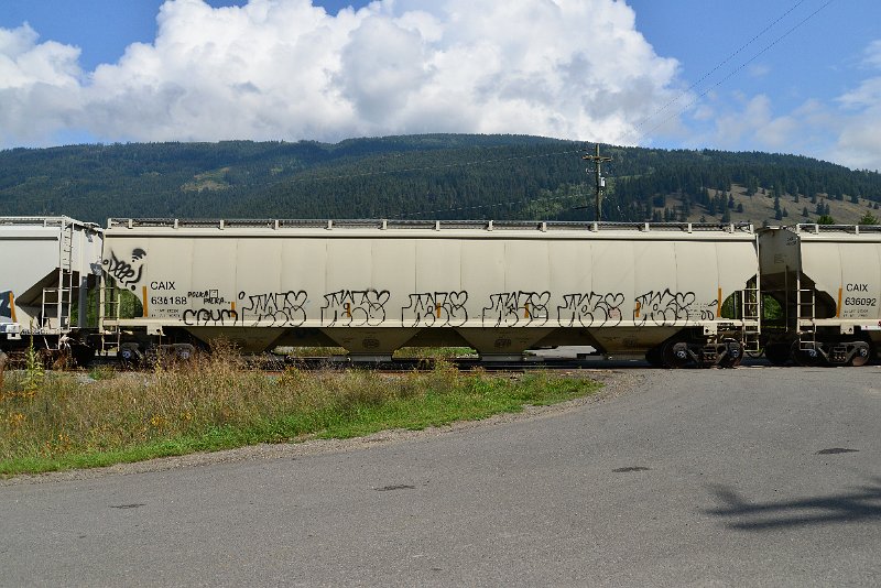 DSC_0107.JPG