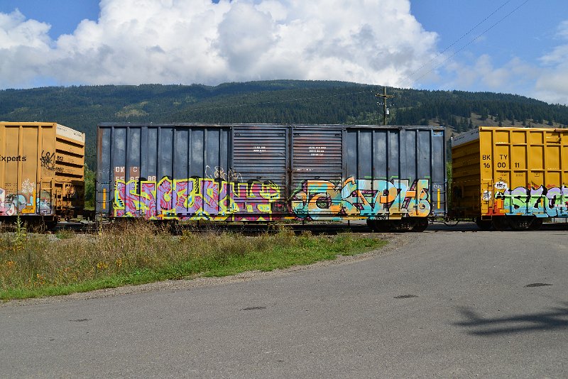 DSC_0112.JPG