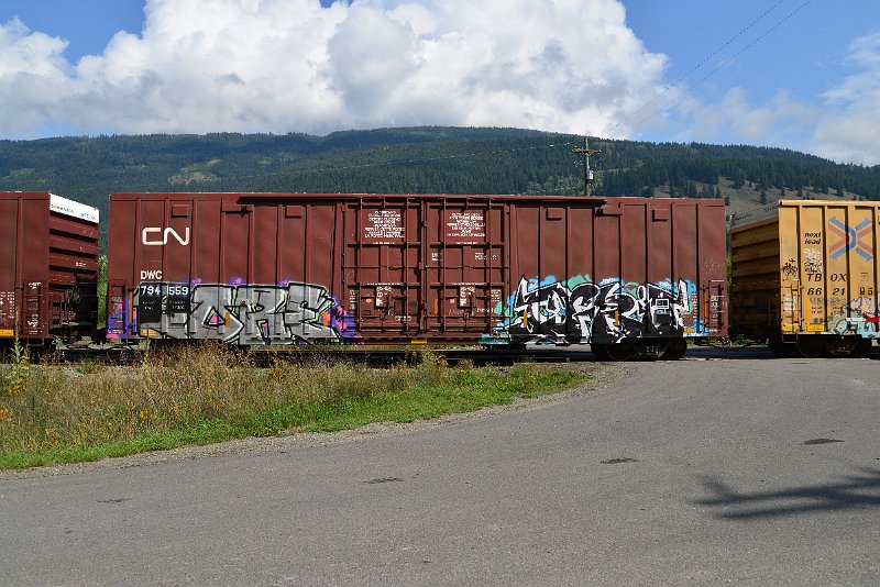DSC_0114.JPG