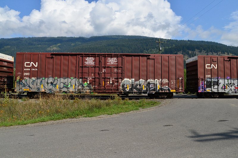 DSC_0115.JPG