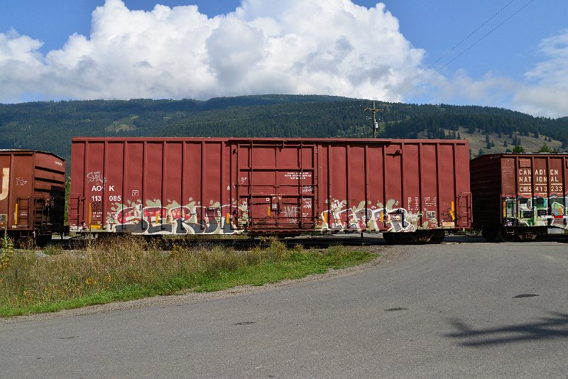 DSC_0121.JPG