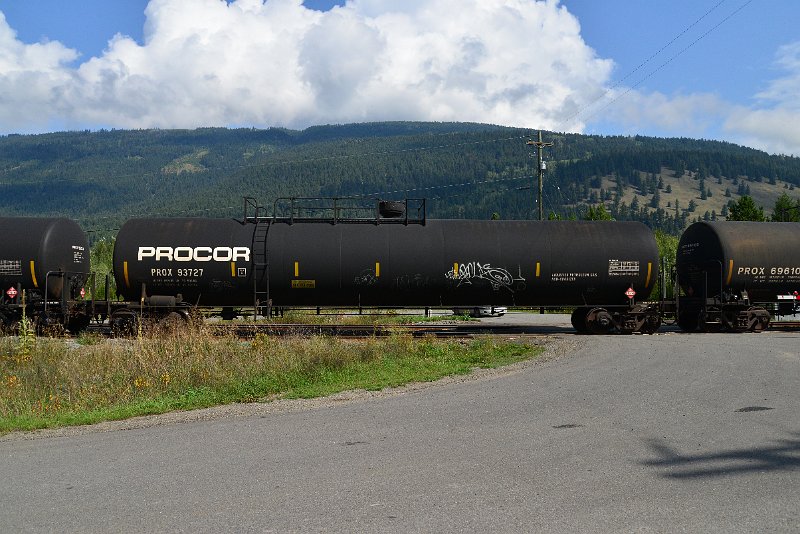 DSC_0137.JPG