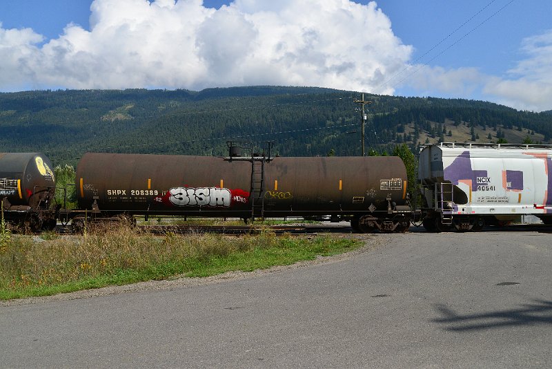 DSC_0142.JPG