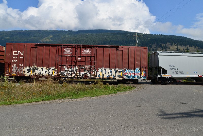 DSC_0163.JPG