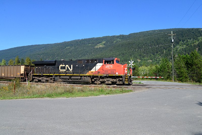 DSC_0218.JPG