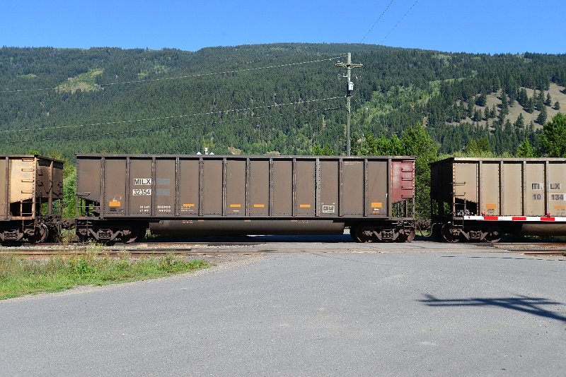 DSC_0222.JPG