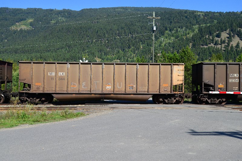 DSC_0223.JPG