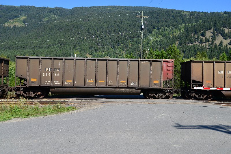 DSC_0224.JPG
