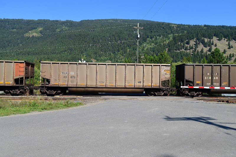 DSC_0225.JPG