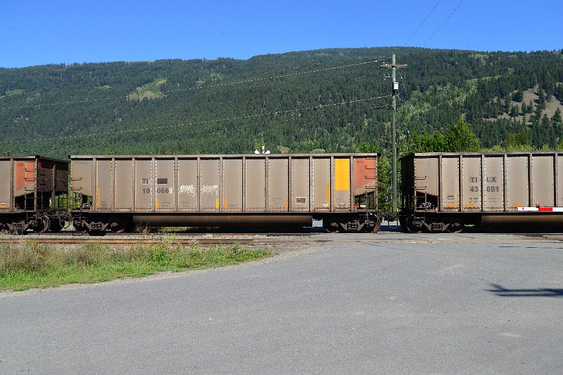 DSC_0233.JPG