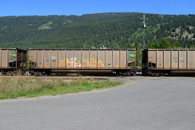 DSC_0248.JPG