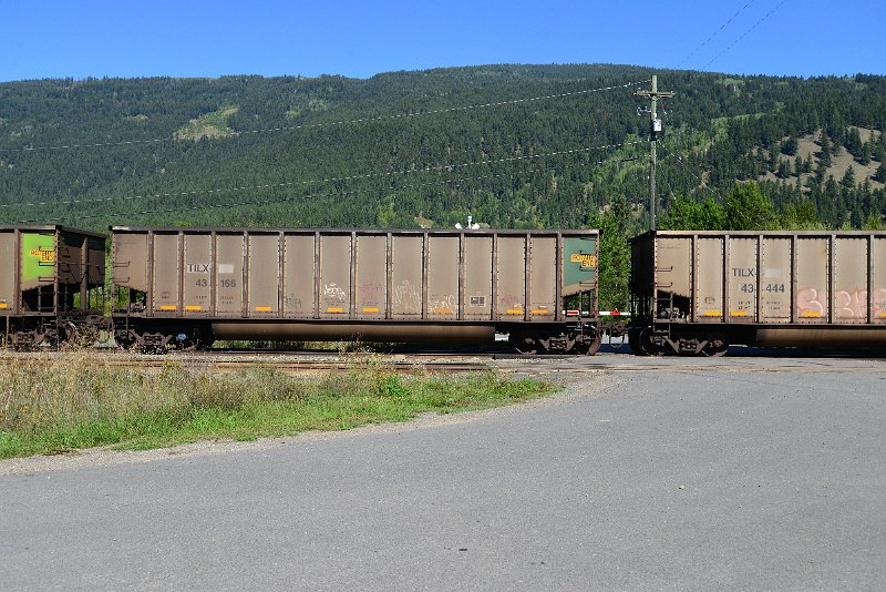 DSC_0250.JPG