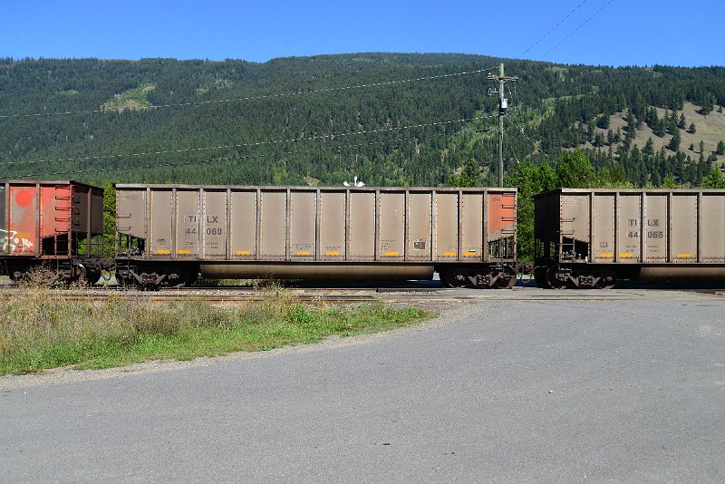 DSC_0290.JPG