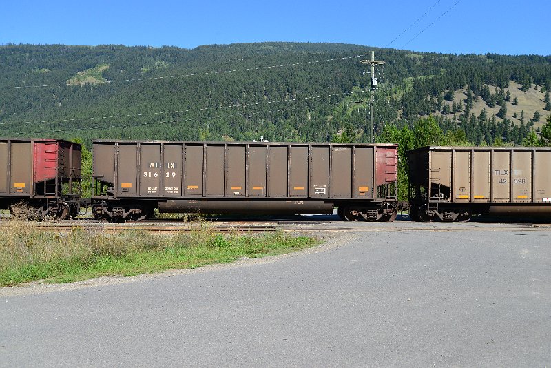 DSC_0295.JPG