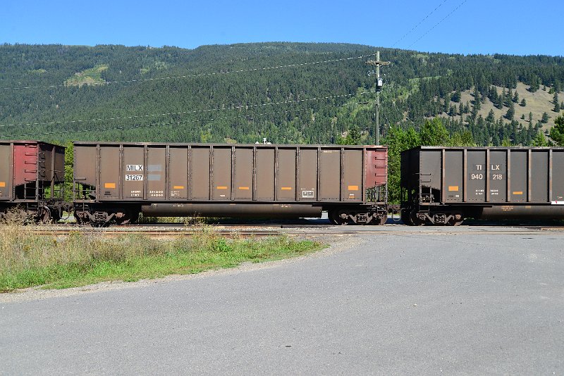 DSC_0303.JPG
