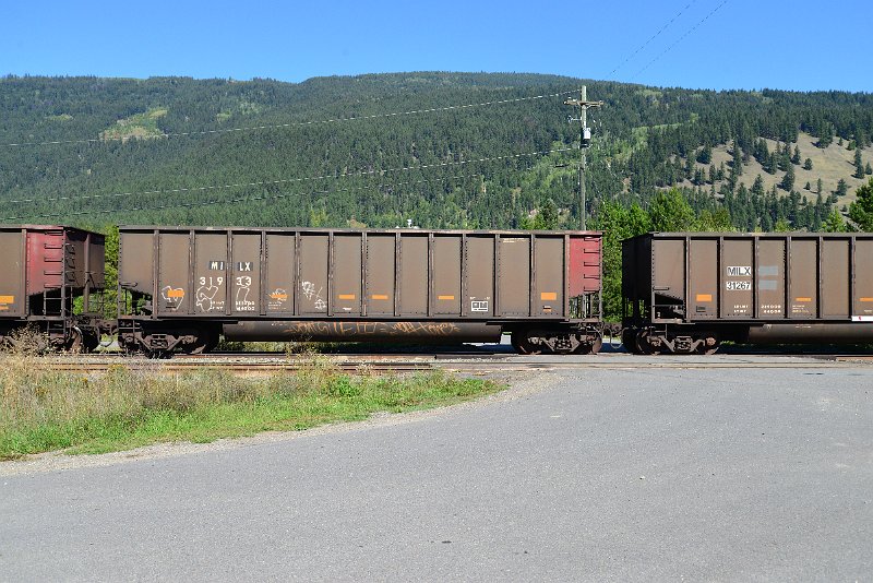 DSC_0304.JPG