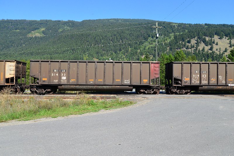DSC_0305.JPG