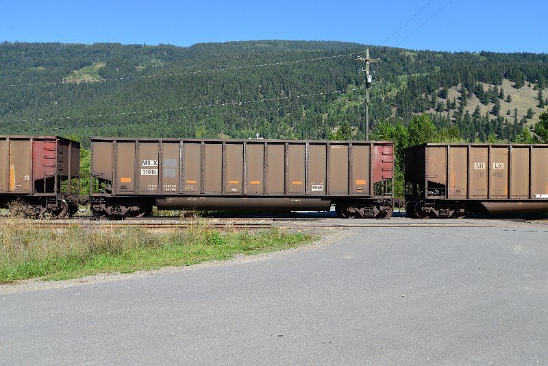DSC_0307.JPG