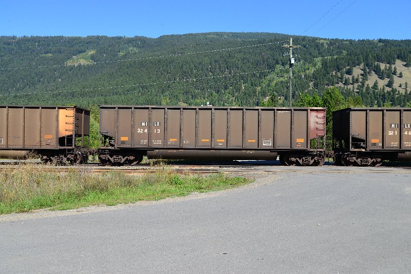 DSC_0311.JPG