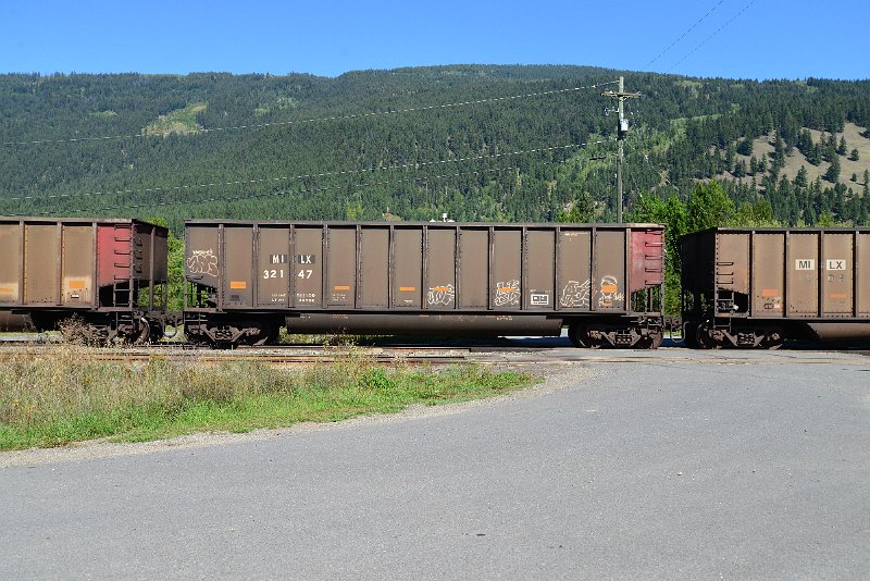 DSC_0313.JPG