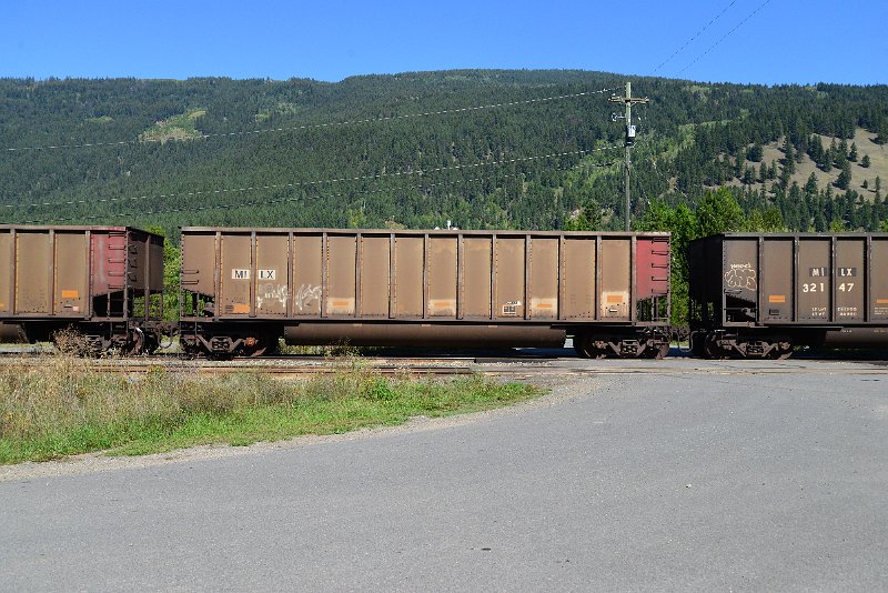 DSC_0314.JPG
