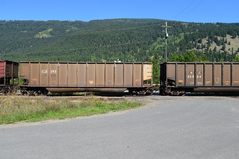 DSC_0317.JPG
