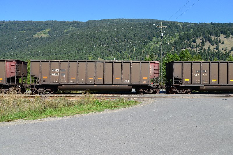 DSC_0319.JPG