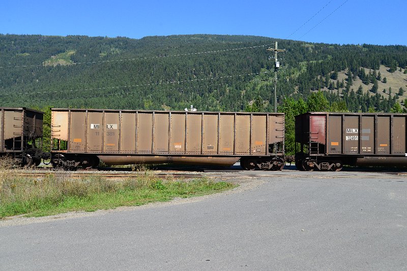 DSC_0331.JPG