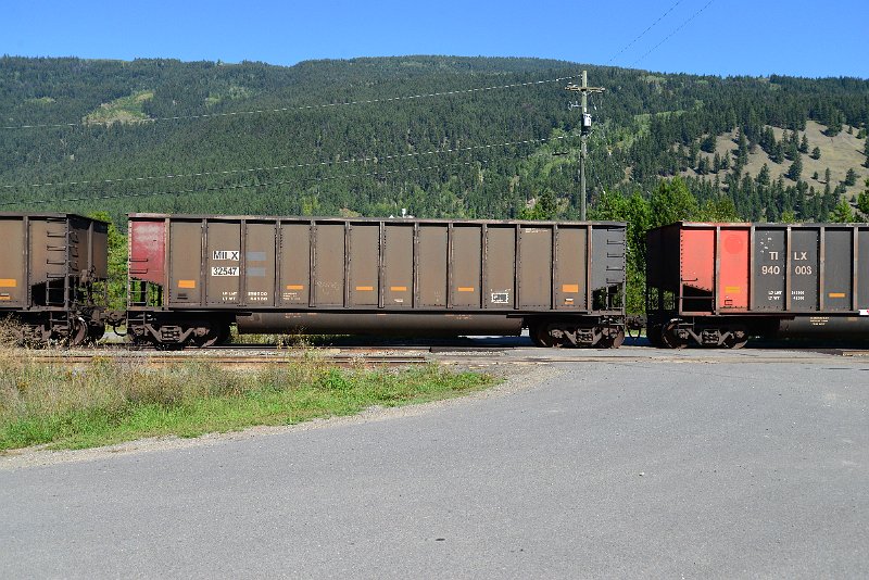DSC_0334.JPG