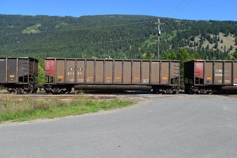 DSC_0335.JPG