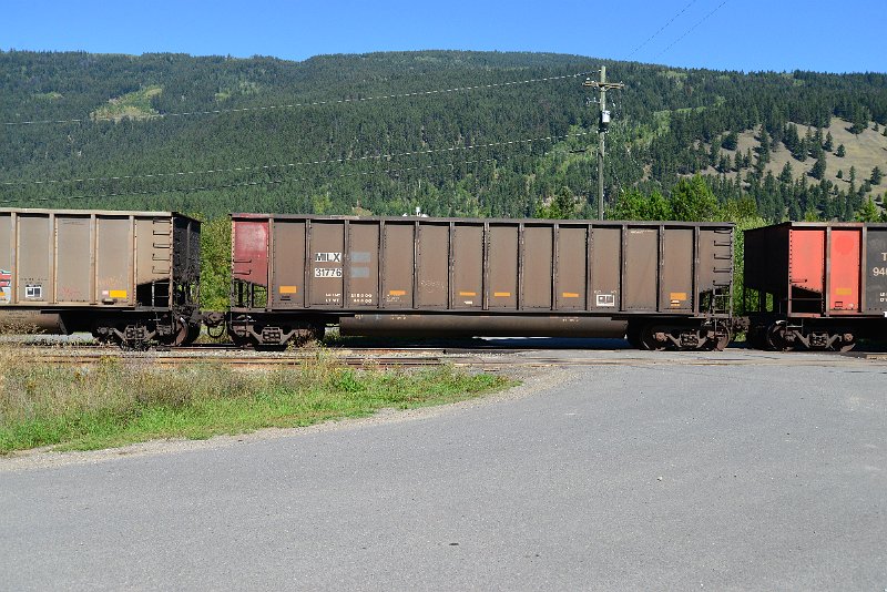 DSC_0337.JPG