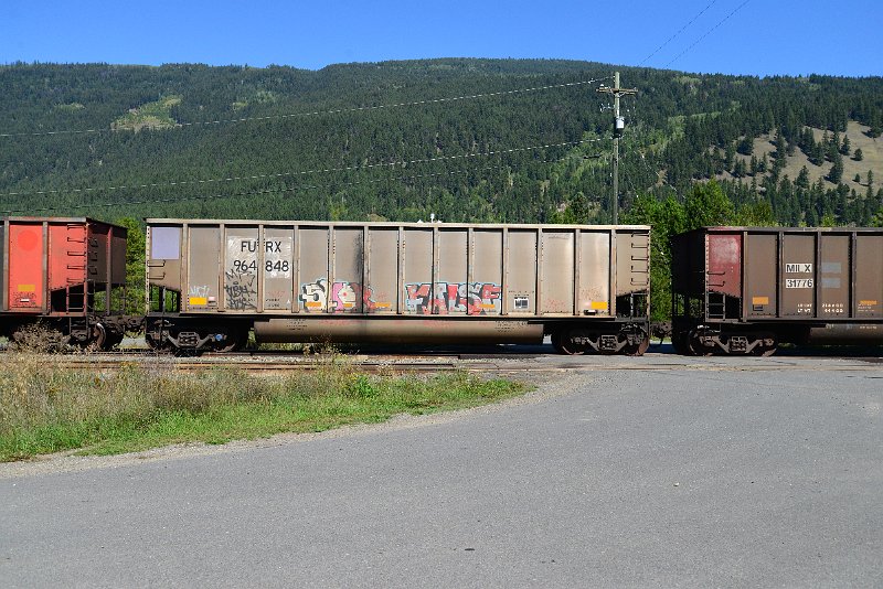 DSC_0338.JPG