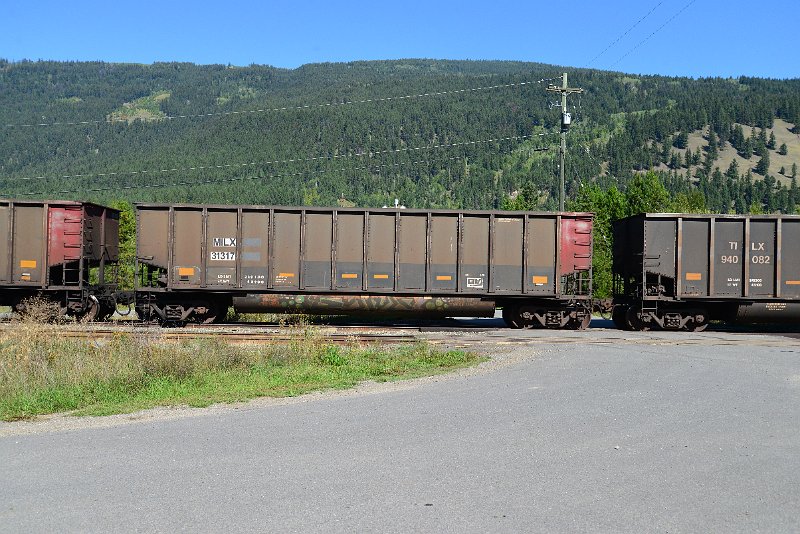 DSC_0341.JPG