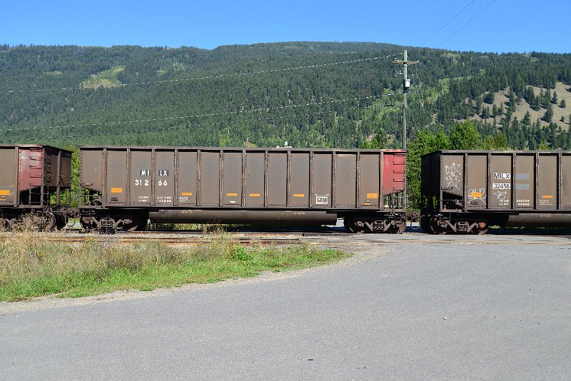 DSC_0343.JPG