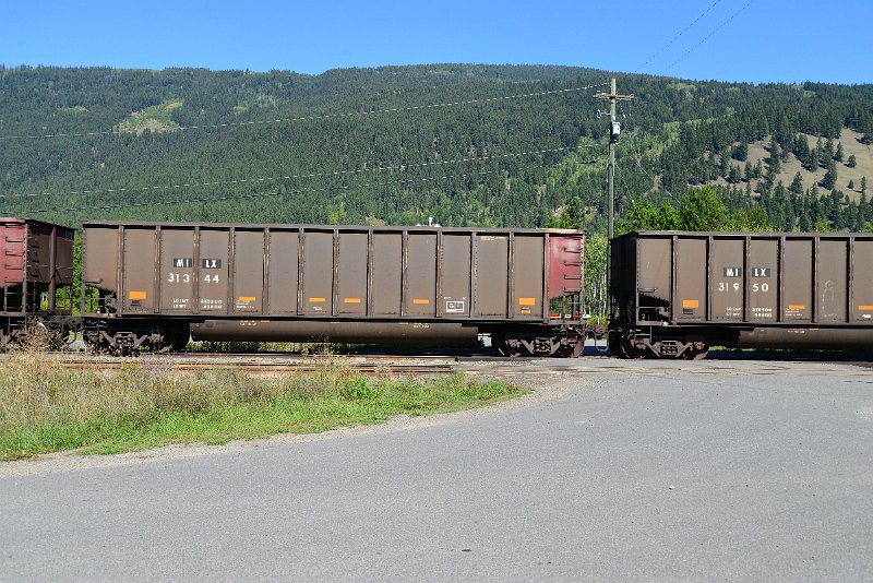 DSC_0345.JPG