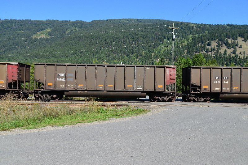 DSC_0346.JPG