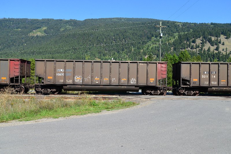 DSC_0349.JPG