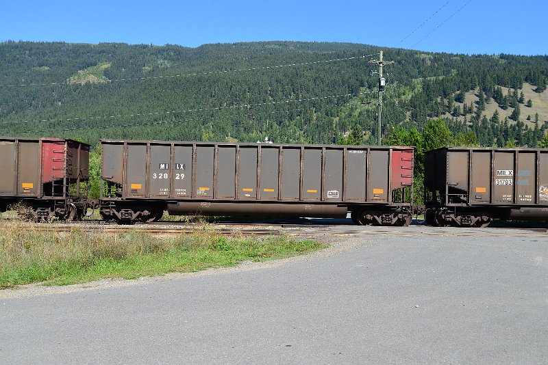 DSC_0350.JPG