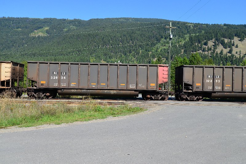 DSC_0353.JPG