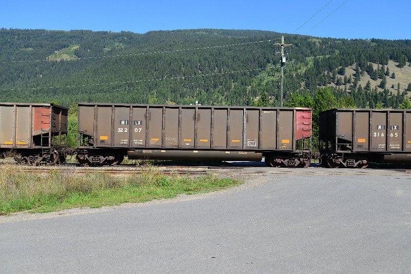 DSC_0356.JPG