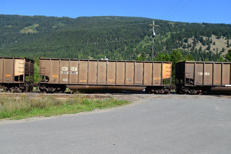 DSC_0374.JPG