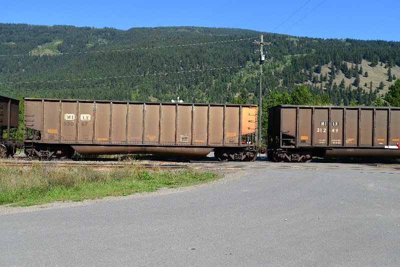DSC_0379.JPG