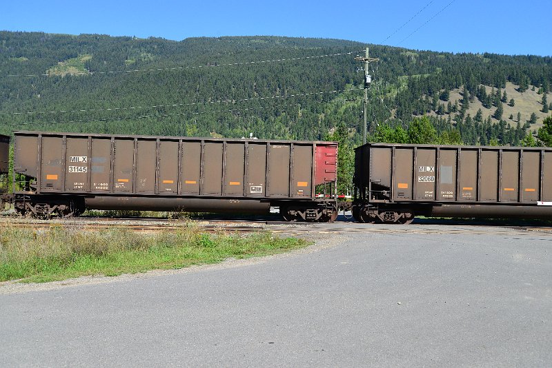 DSC_0393.JPG