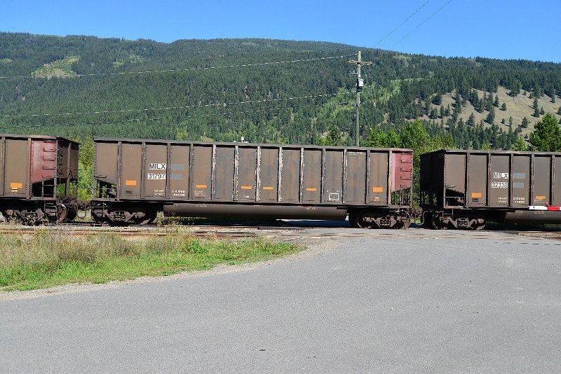 DSC_0426.JPG