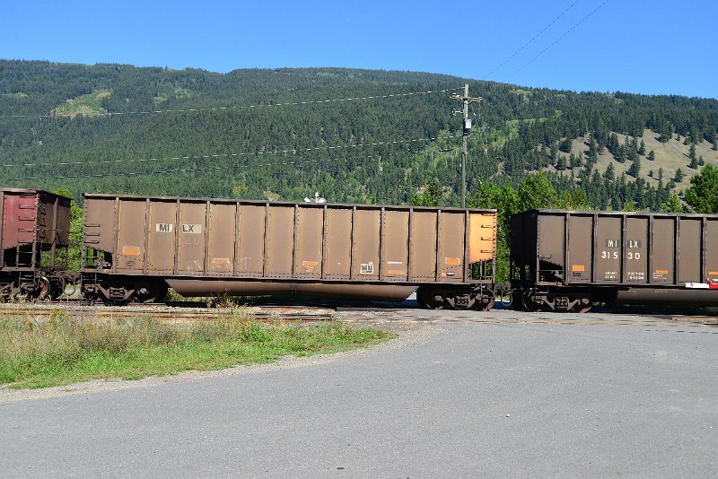 DSC_0433.JPG