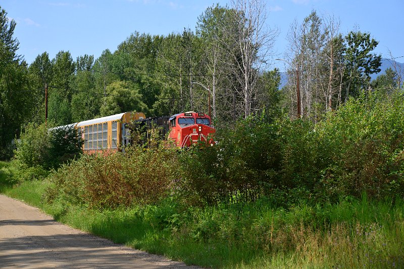 DSC_0477.JPG